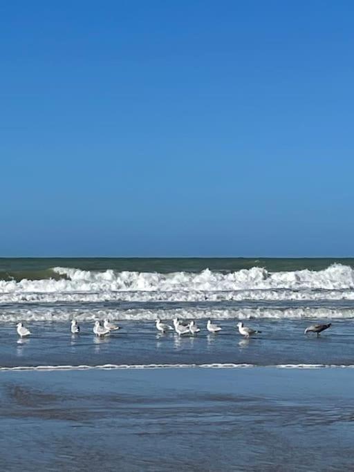 Charmante Maison Individuelle Proche Du Touquet Cucq Buitenkant foto